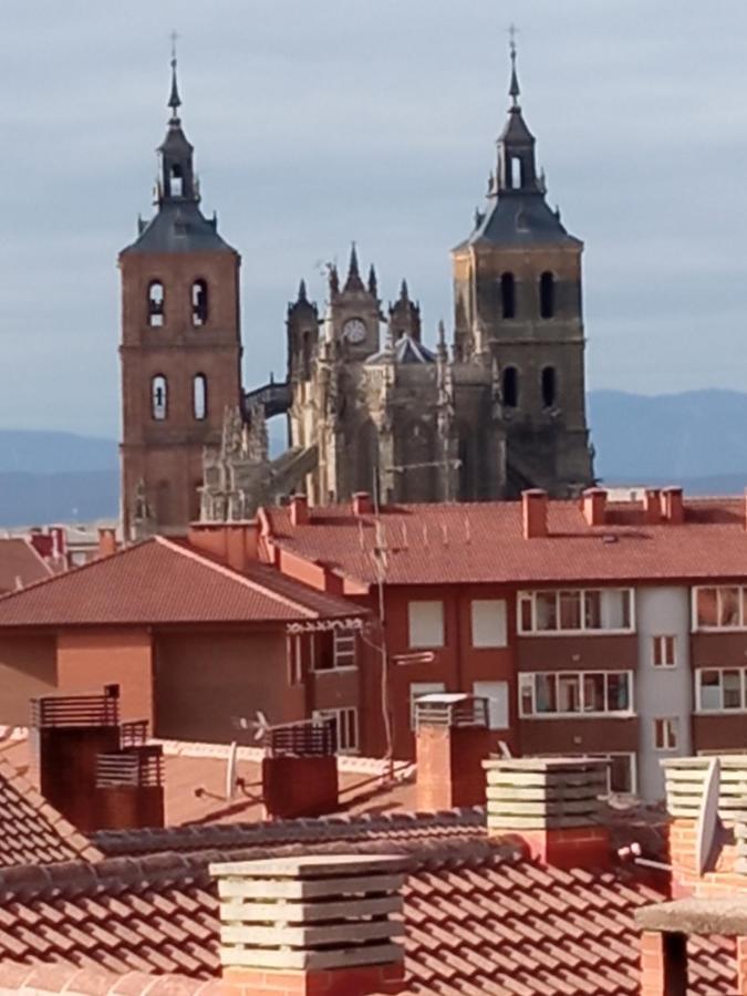 Vut El Negrillo 15 * Astorga