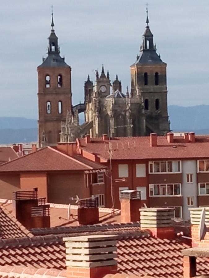 Vut El Negrillo 15 Vut-le-413 *